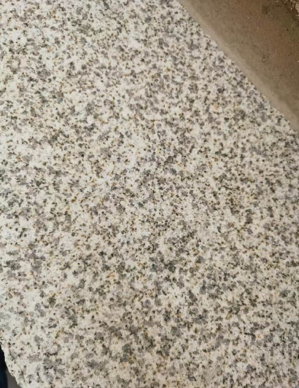 宿迁 黄金麻中黄光面