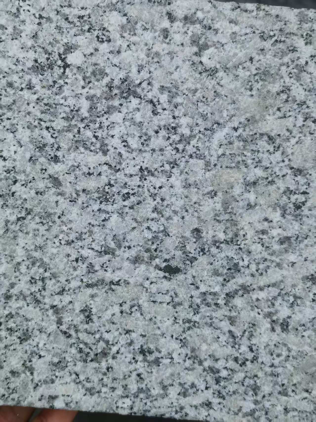 宿迁 芙蓉白火烧面