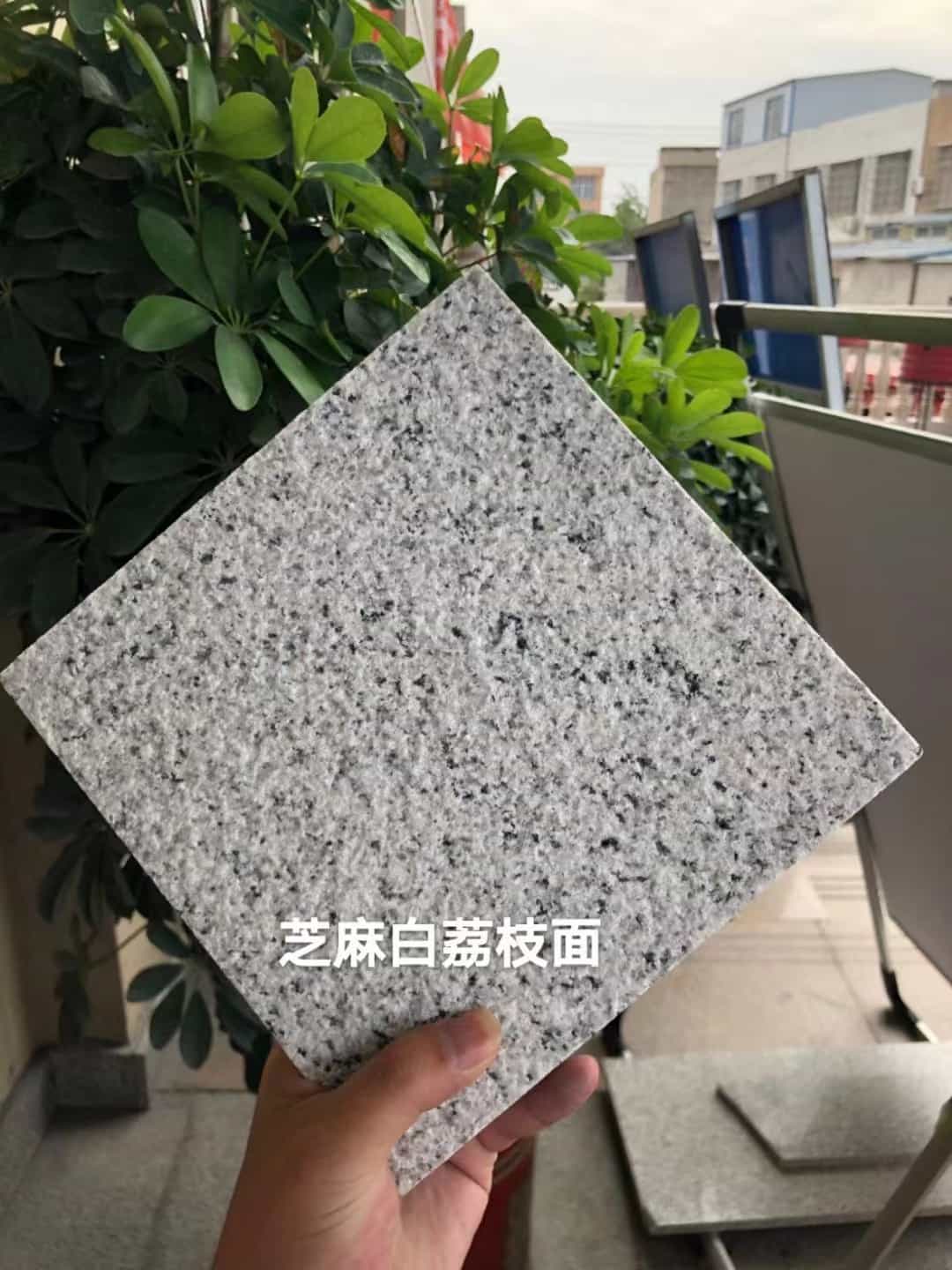 宿迁 芝麻白荔枝面干挂